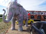 undefined/elephant.jpg